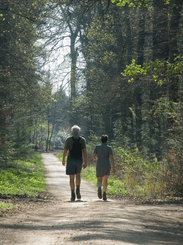 People walk in the forest