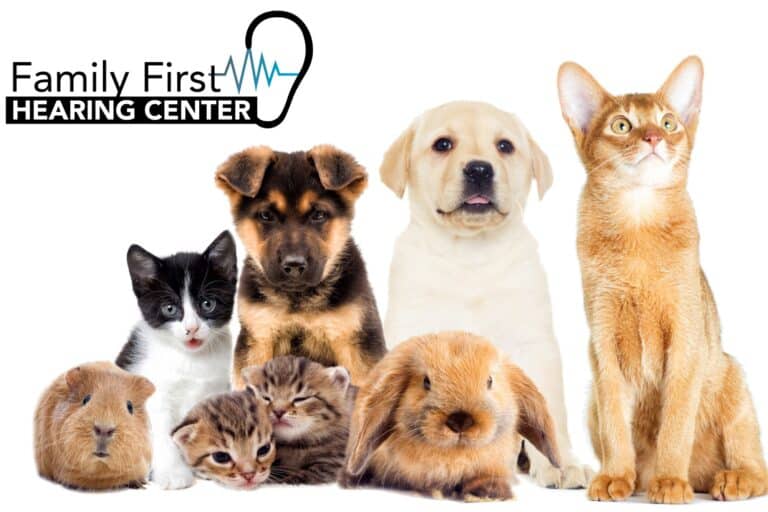 cute puppies and kittens